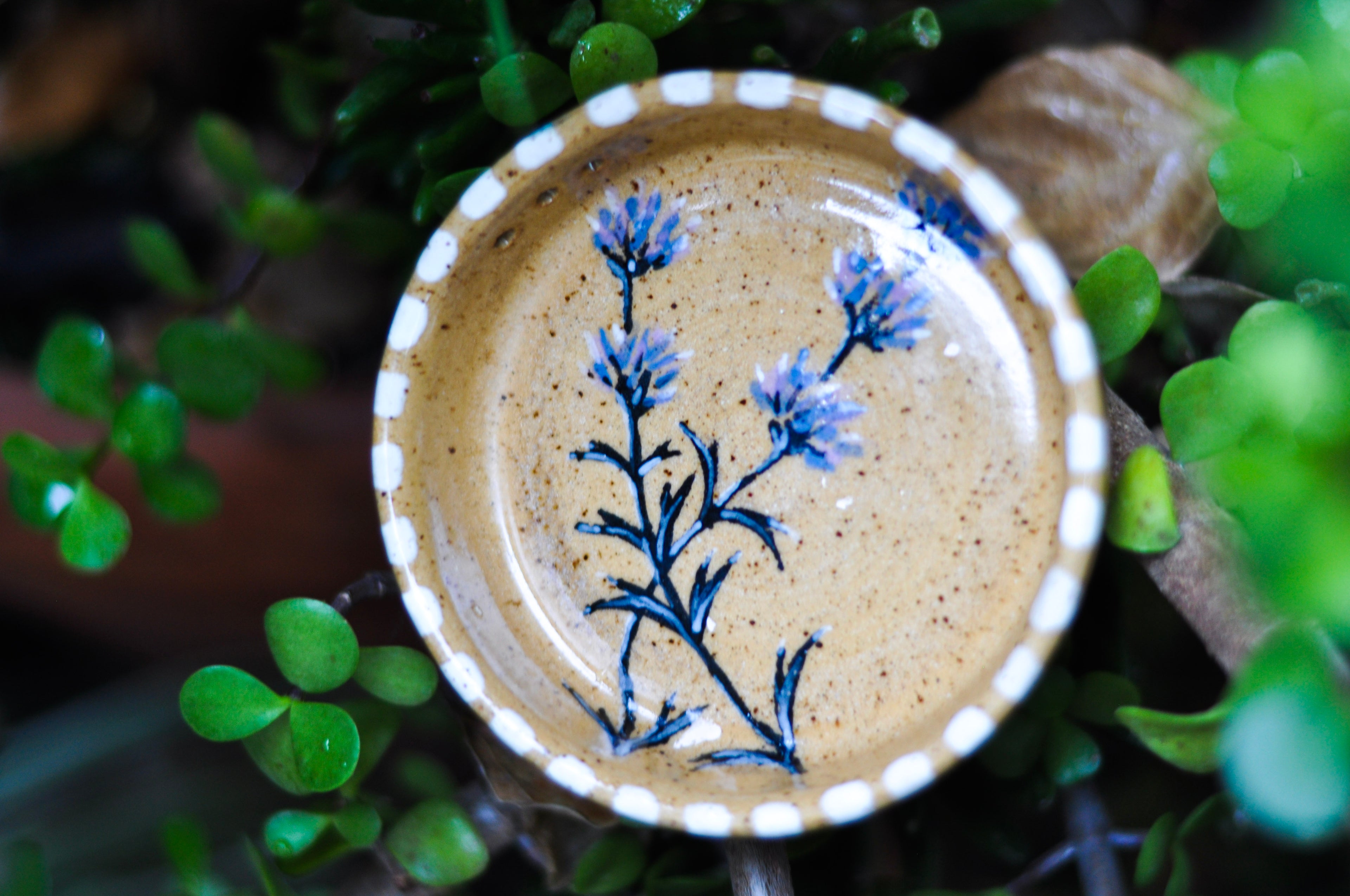 Herb Stripper Dish - Purple Sage