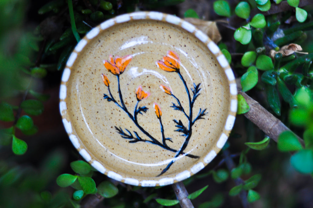 Small Dish - California Poppy
