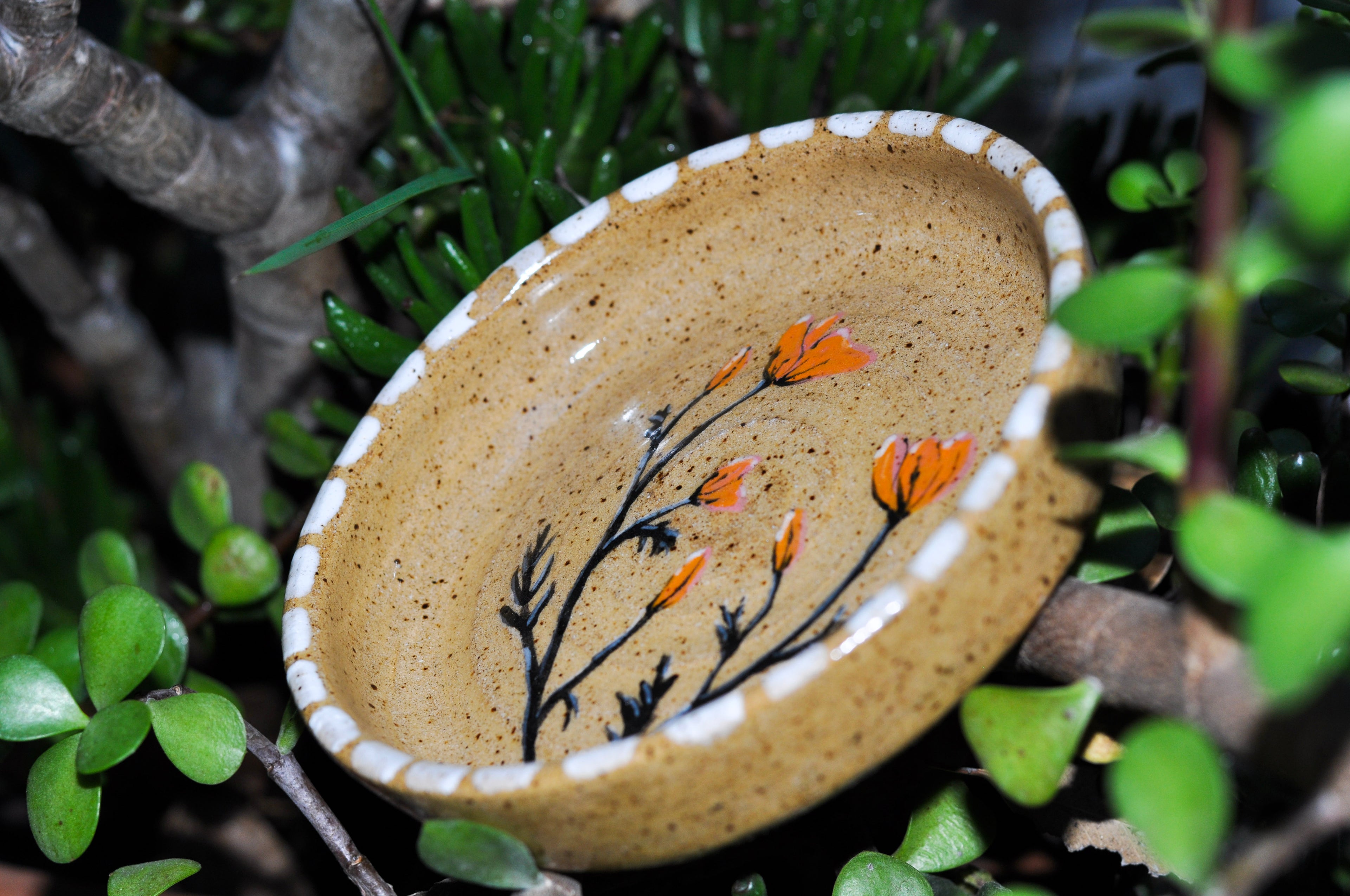 Small Dish - California Poppy