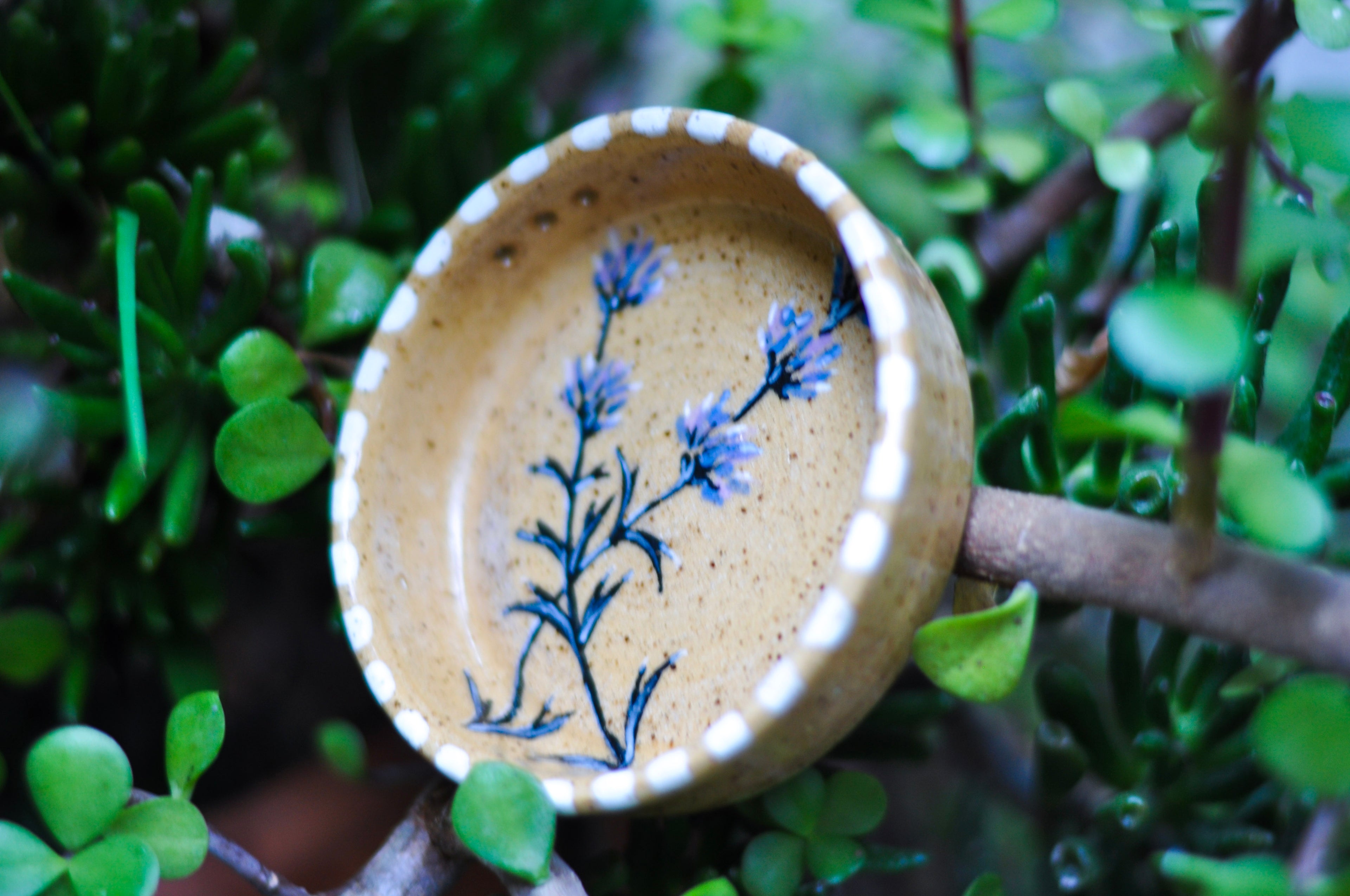 Herb Stripper Dish - Purple Sage
