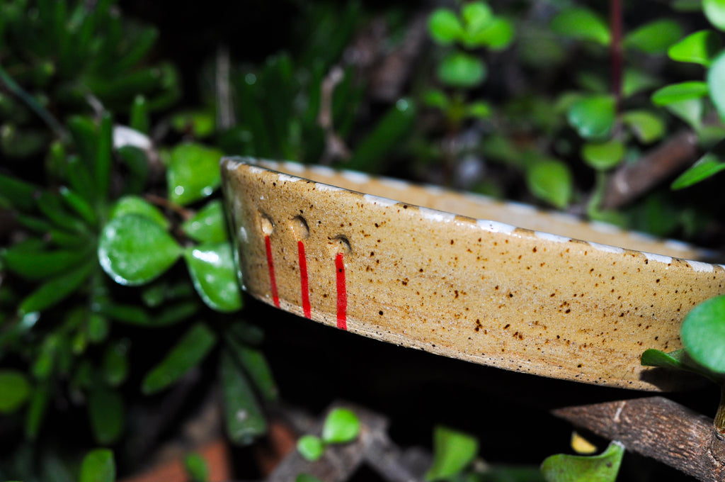 Herb Stripper Dish - Tomato Vine