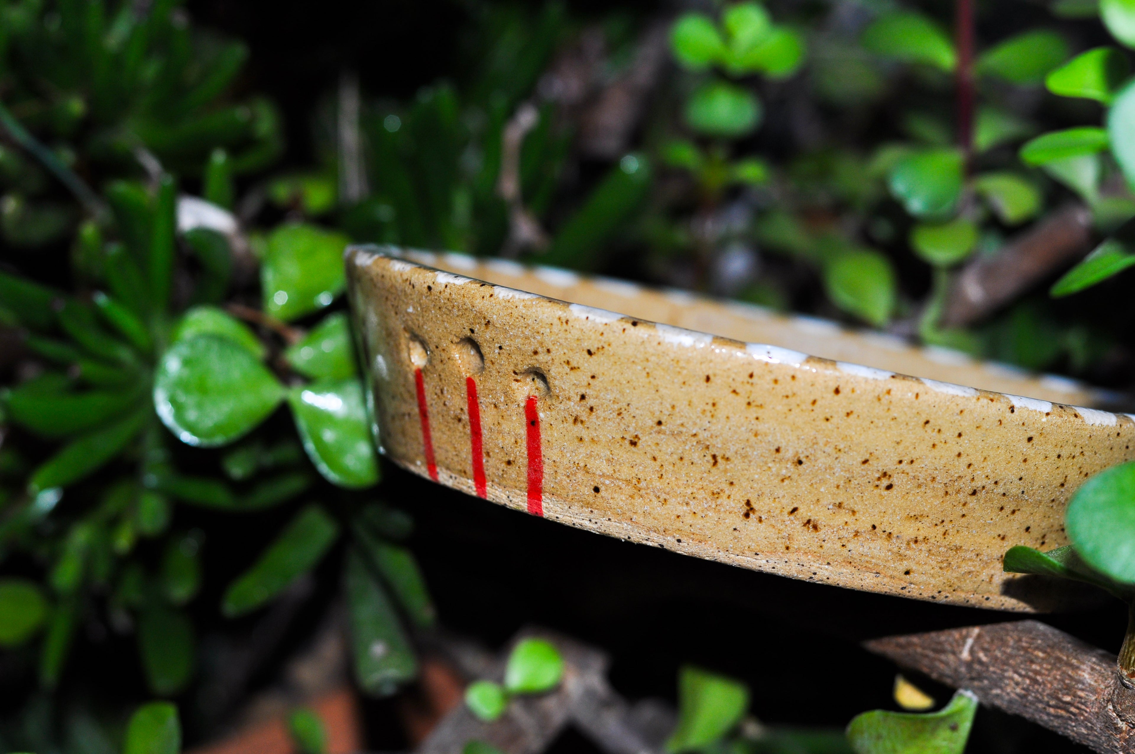 Herb Stripper Dish - Tomato Vine