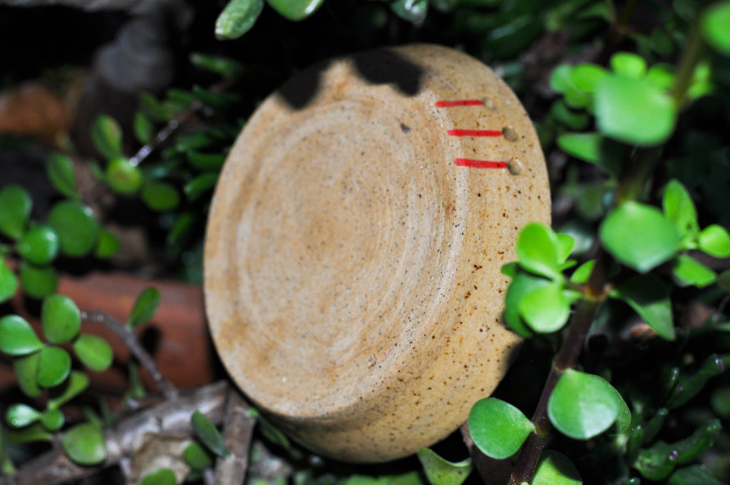 Herb Stripper Dish - Tomato Vine