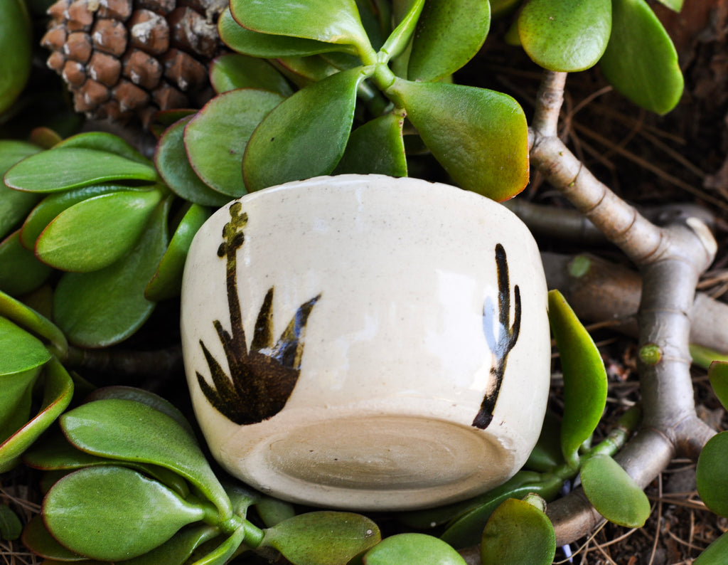 Small Southwest Porcelain Bowl