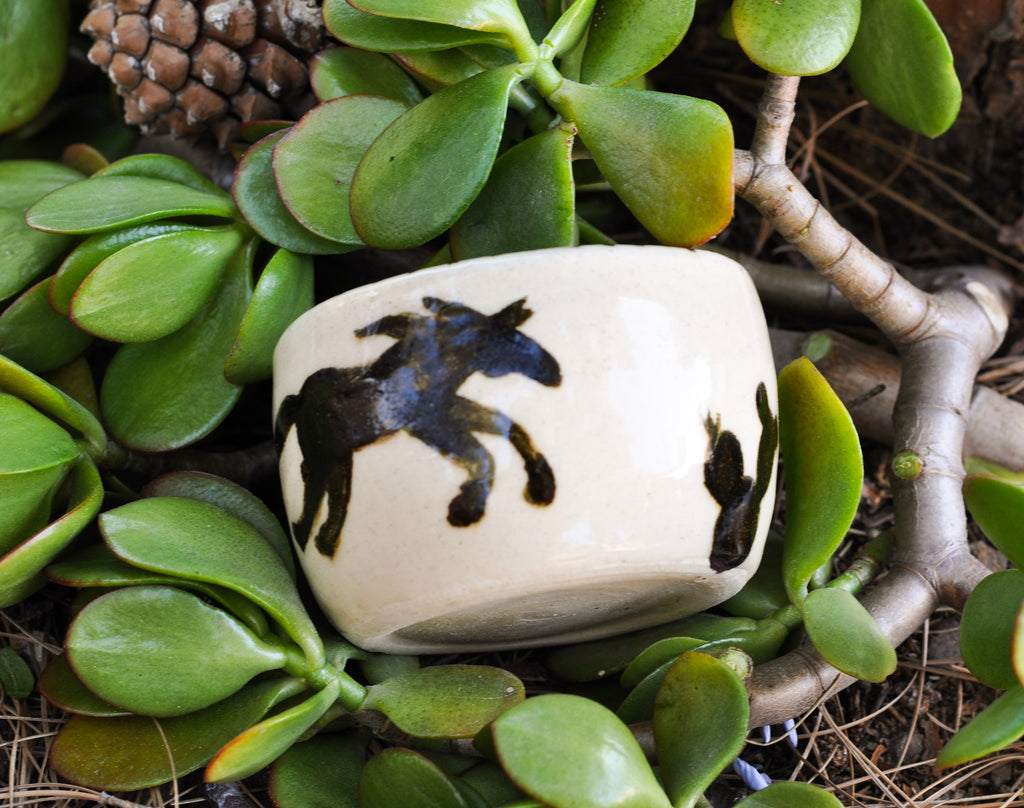 Small Southwest Porcelain Bowl