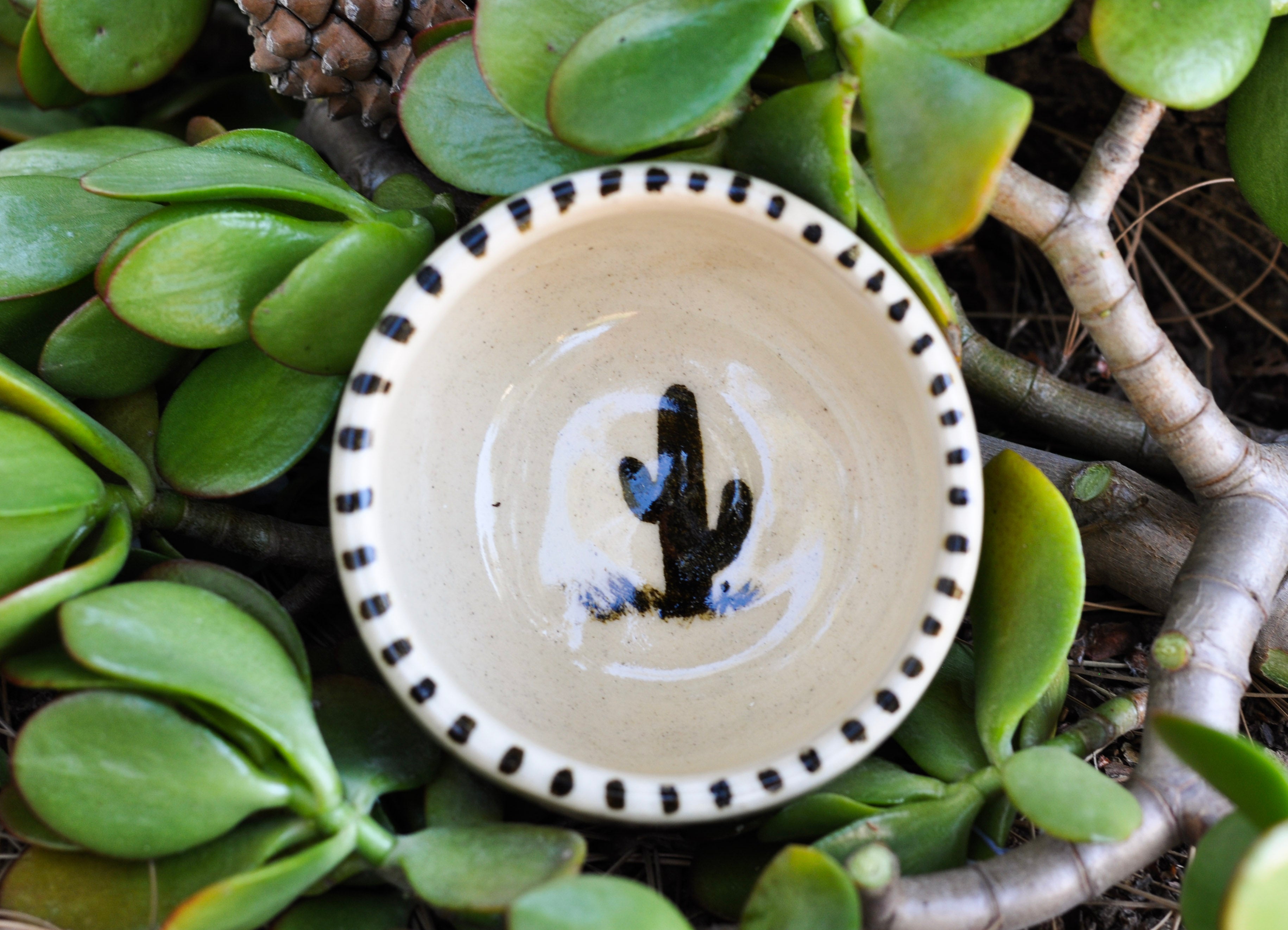 Small Southwest Porcelain Bowl
