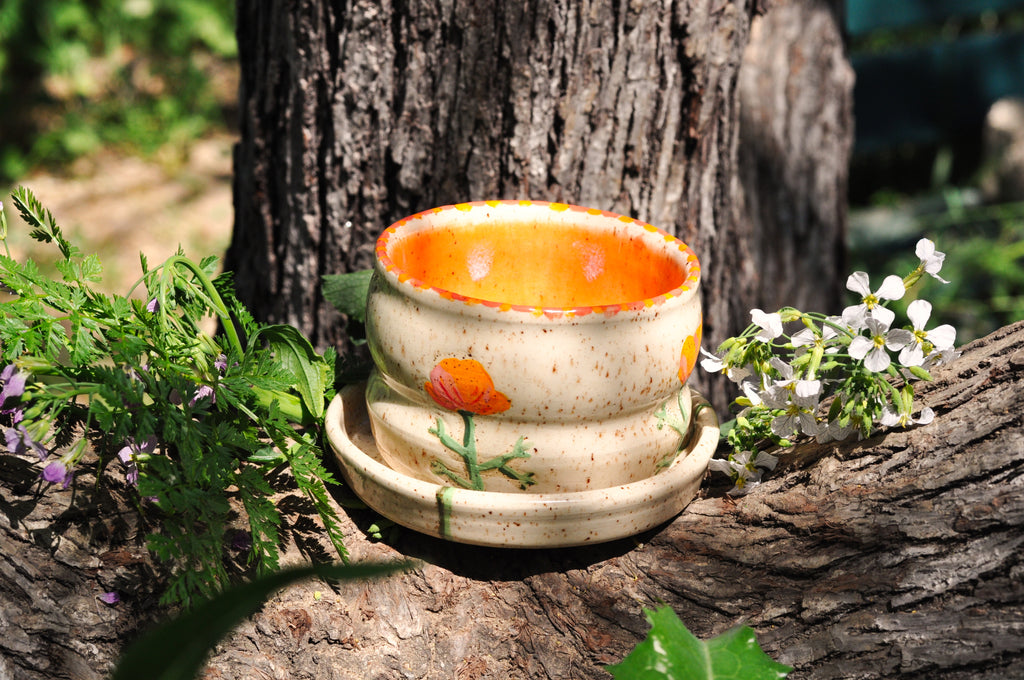 Small Planter with Dish - California Poppy