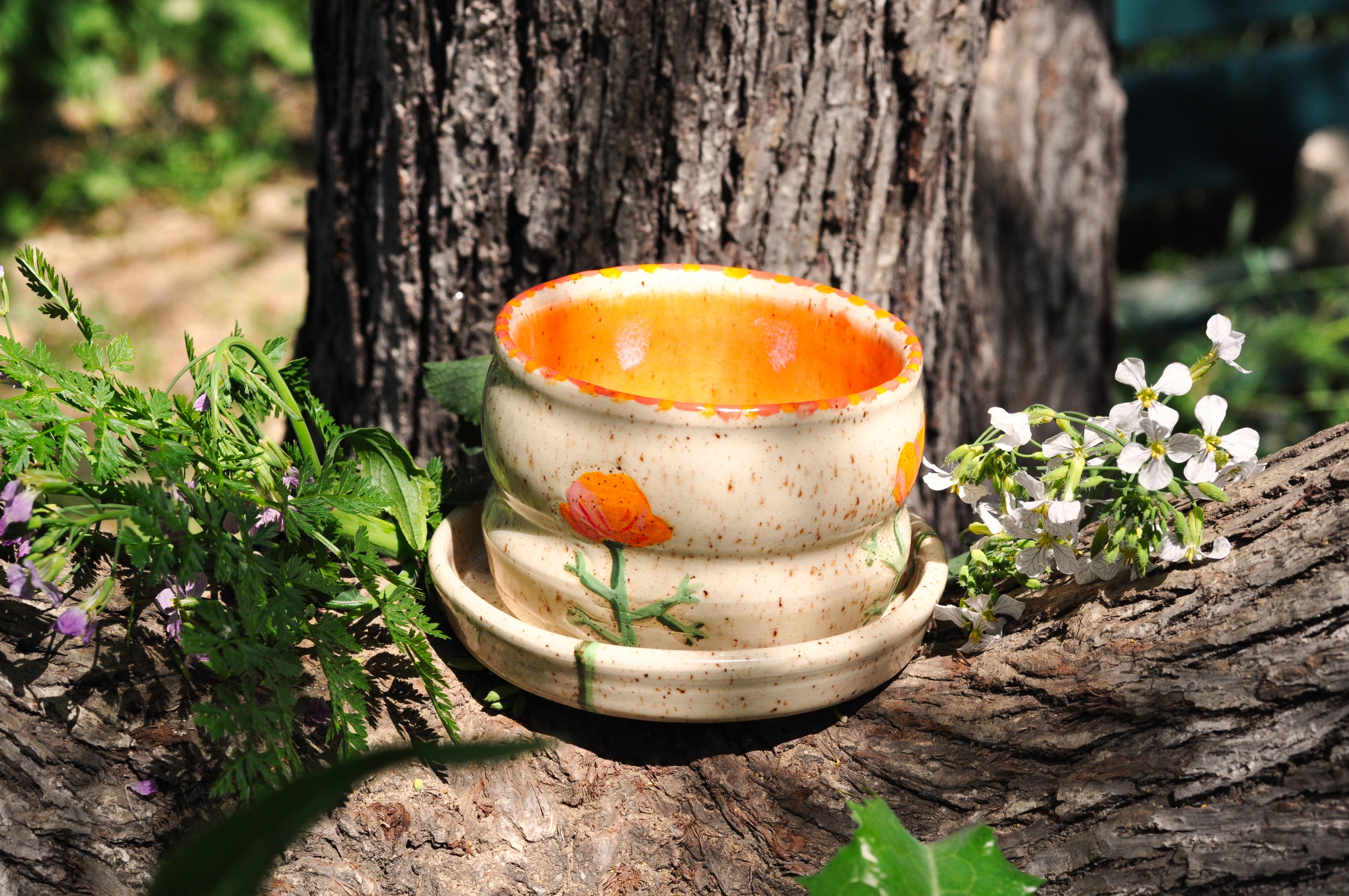 Small Planter with Dish - California Poppy