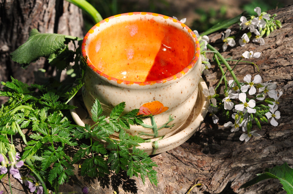 Small Planter with Dish - California Poppy