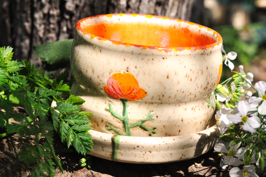 Small Planter with Dish - California Poppy