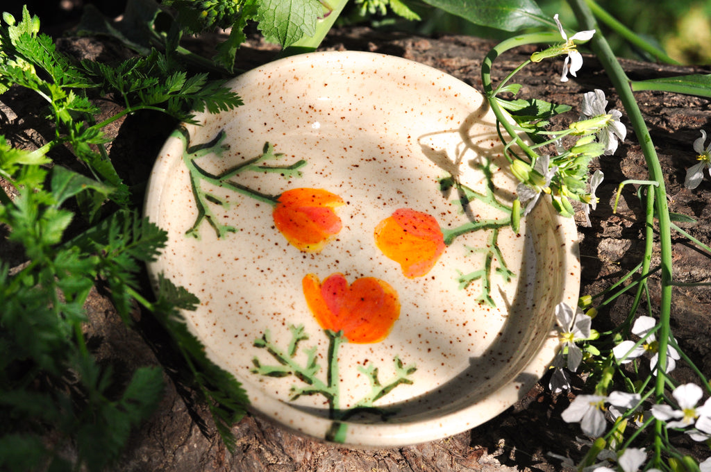 Small Planter with Dish - California Poppy