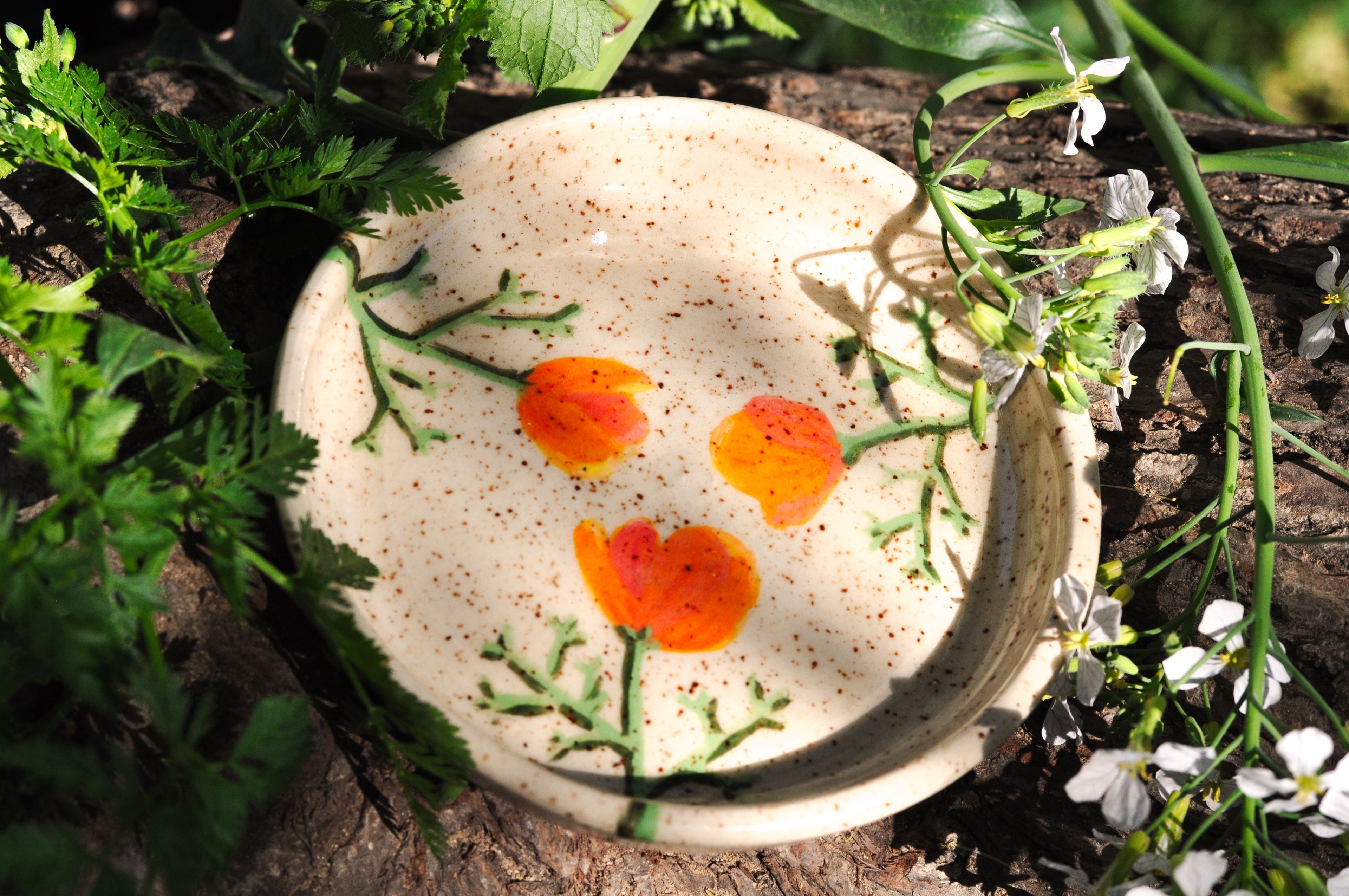 Small Planter with Dish - California Poppy