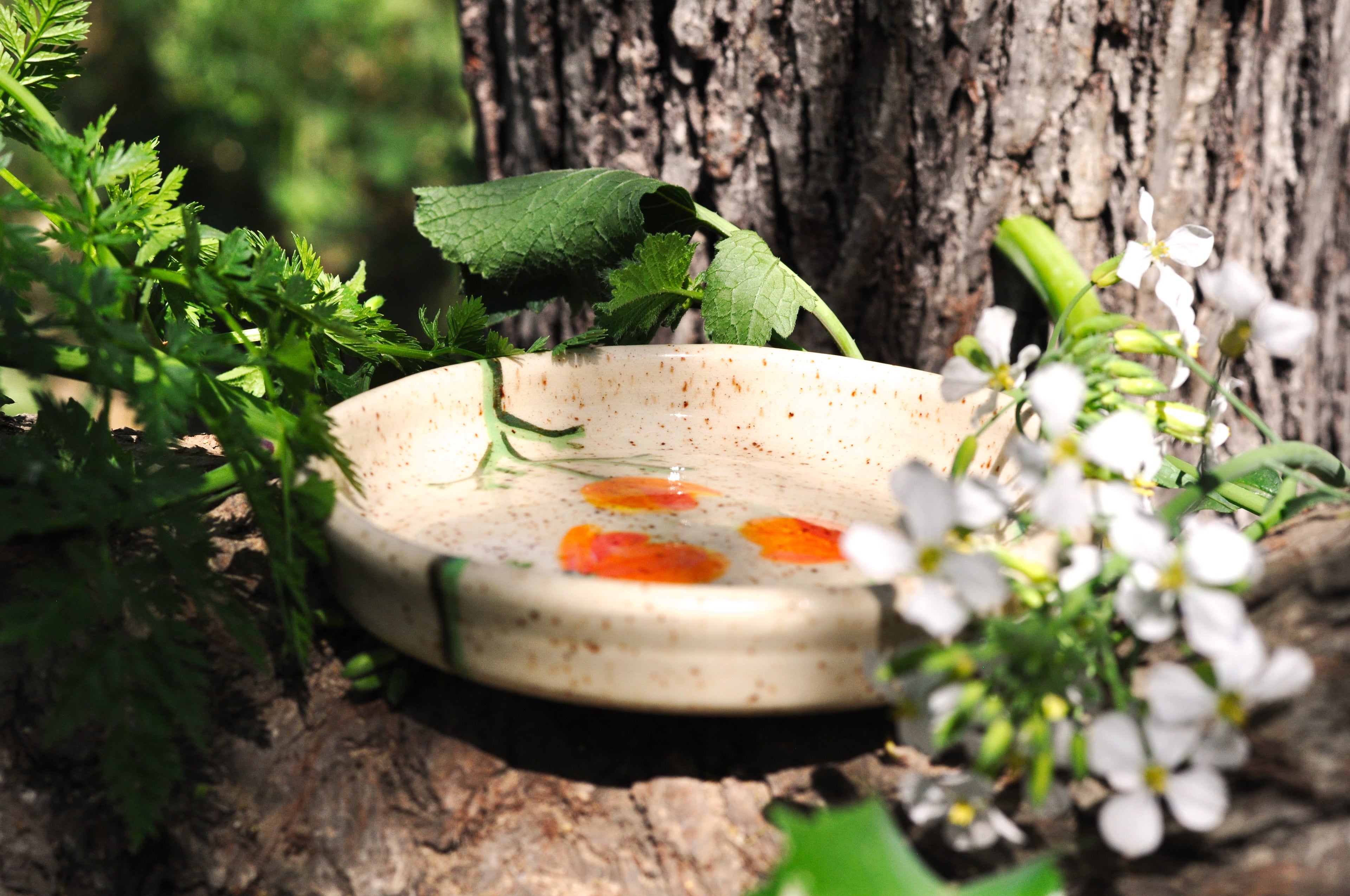 Small Planter with Dish - California Poppy