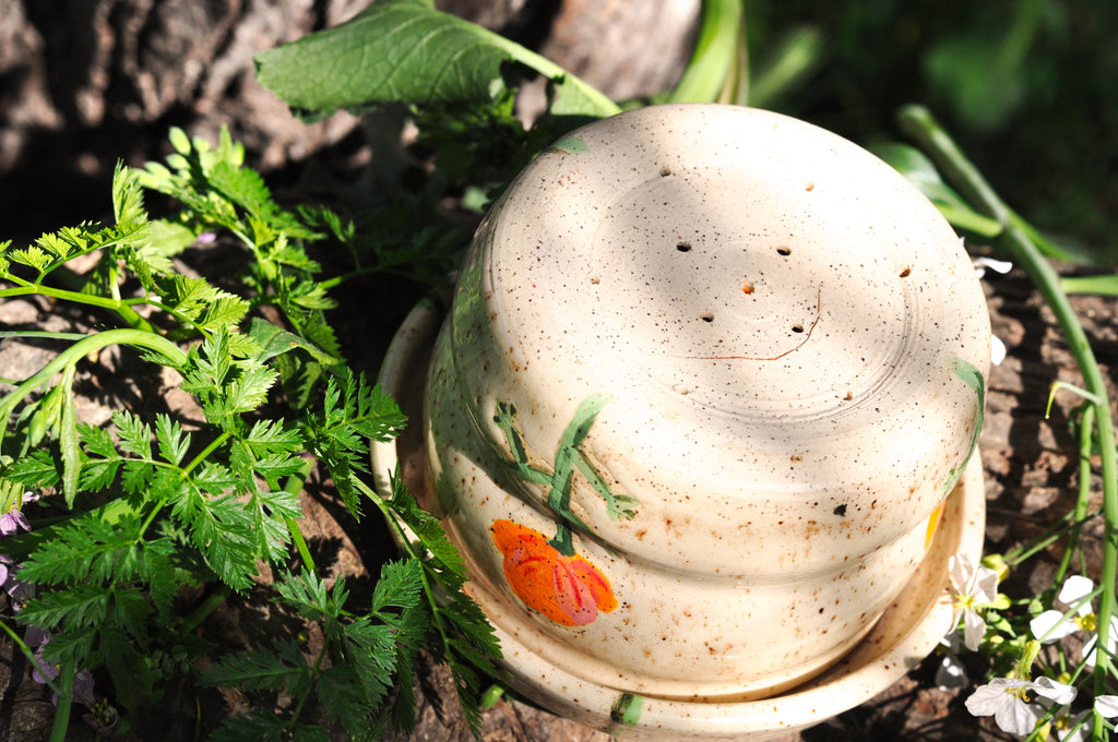 Small Planter with Dish - California Poppy
